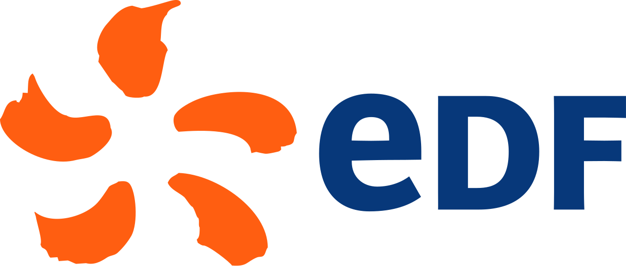 EDF, Audit et optimisation des campagnes digitales EDF